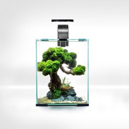Aquael Shrimp Set 10L Czarny Day/Night 20x20x25cm AQUAEL