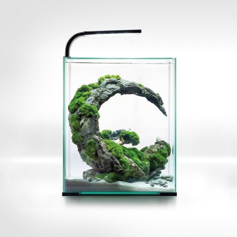Aquael Shrimp Set 10L Czarny Day/Night 20x20x25cm AQUAEL Aquael Shrimp Set 10L Czarny Day/Night 20x20x25cm AQUAEL