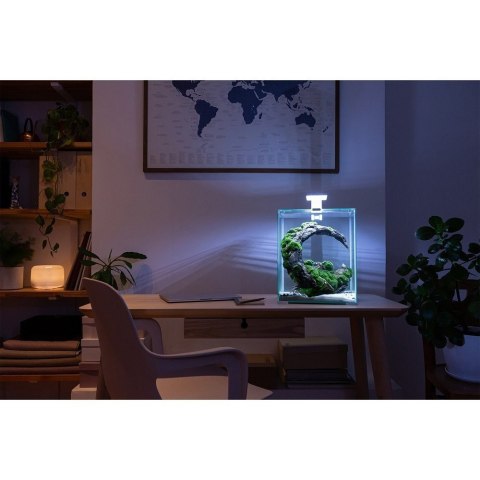 Aquael Shrimp Set 10L Czarny Day/Night 20x20x25cm AQUAEL Aquael Shrimp Set 10L Czarny Day/Night 20x20x25cm AQUAEL