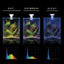 Aquael Shrimp Set 10L Czarny Day/Night 20x20x25cm AQUAEL