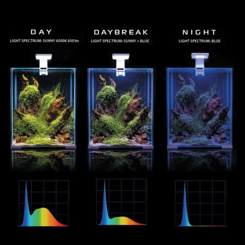 Aquael Shrimp Set 10L Czarny Day/Night 20x20x25cm AQUAEL Aquael Shrimp Set 10L Czarny Day/Night 20x20x25cm AQUAEL