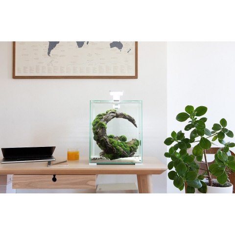 Aquael Shrimp Set 10L Czarny Day/Night 20x20x25cm AQUAEL Aquael Shrimp Set 10L Czarny Day/Night 20x20x25cm AQUAEL
