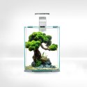 Aquael Shrimp Set 20L Biały Day/Night 25x25x30cm AQUAEL