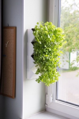 Aquael Versa Garden Herbs Zielone Ściany Zielnik AQUAEL