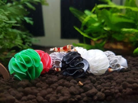 Baby Shrimp Shelters Biały 1 szt super schronienie Deep Aqua For Shrimp Baby Shrimp Shelters Biały 1 szt super schronienie Deep Aqua For Shrimp