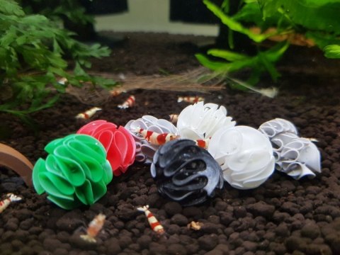 Baby Shrimp Shelters Biały 1 szt super schronienie Deep Aqua For Shrimp Baby Shrimp Shelters Biały 1 szt super schronienie Deep Aqua For Shrimp