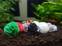 Baby Shrimp Shelters Czerwony 1 szt super schronienie Deep Aqua For Shrimp