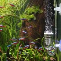 Deep Aqua Szklany Dyfuzor 25mm Spirala 6cm Deep Aqua Accessories