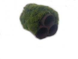 Gałęzatka Na Rurkobloczku Mini 3-Rurki 50x35x35mm Naturalna Ozdoba Aquaplanet