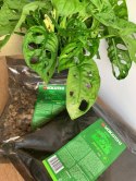 Yokuchi Janguru Soil 4l Podłoże dla Roślin Tropikalnych Yokuchi