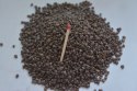 Zestaw Żwirek Natural Substrate Kulki Akwa 100-120L Deep Aqua