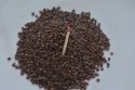 Zestaw Żwirek Natural Substrate Kulki Akwa 230-240L Deep Aqua