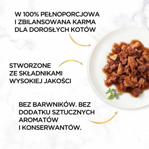 Gourmet Gold Karma dla kotów casserole z kaczką i indykiem w sosie 85 g Gourmet Gold Karma dla kotów casserole z kaczką i indykiem w sosie 85 g