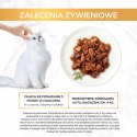 Gourmet Gold Karma dla kotów casserole z kaczką i indykiem w sosie 85 g